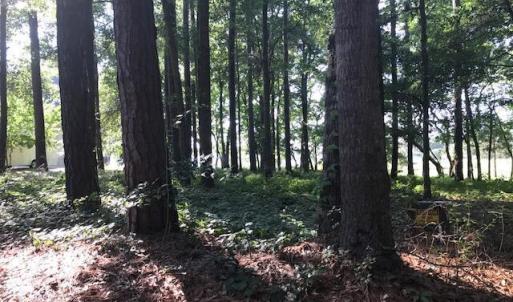 Photo #7 of 3247 Mullet Creek, Bolivia, NC 0.4 acres