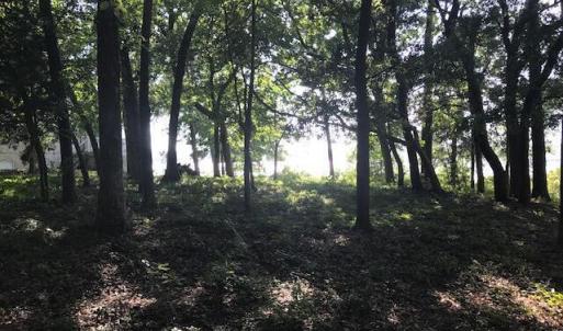 Photo #6 of 3247 Mullet Creek, Bolivia, NC 0.4 acres