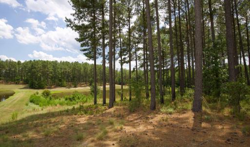 Photo #23 of 220 Justin, Foxfire Village, NC 10.4 acres