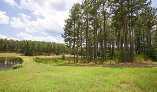 Photo #21 of 220 Justin, Foxfire Village, NC 10.4 acres