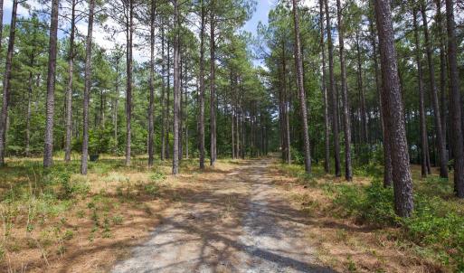 Photo #7 of 220 Justin, Foxfire Village, NC 10.4 acres