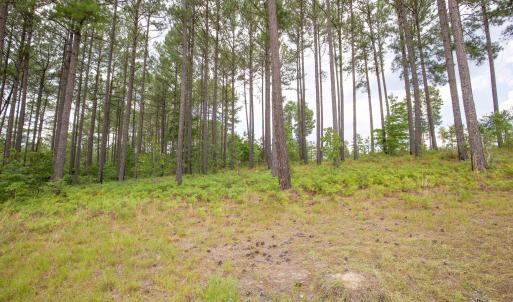 Photo #26 of 220 Justin, Foxfire Village, NC 10.4 acres