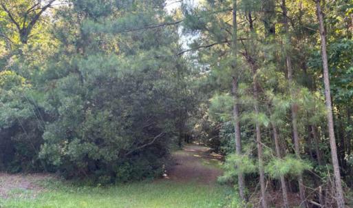 Photo #12 of 3611 New Bern, Jacksonville, NC 4.3 acres