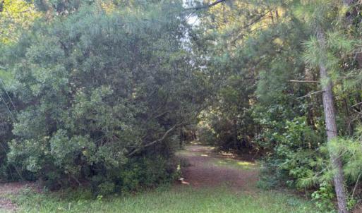 Photo #11 of 3611 New Bern, Jacksonville, NC 4.3 acres