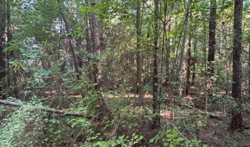 Photo #14 of 3611 New Bern, Jacksonville, NC 4.3 acres