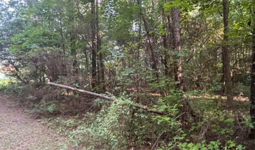 Photo #13 of 3611 New Bern, Jacksonville, NC 4.3 acres