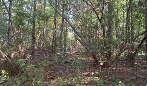 Photo #15 of 3611 New Bern, Jacksonville, NC 4.3 acres