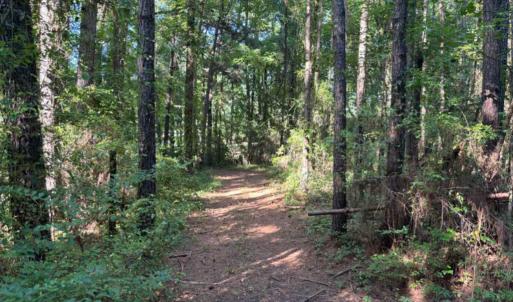 Photo #17 of 3611 New Bern, Jacksonville, NC 4.3 acres