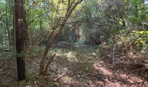 Photo #16 of 3611 New Bern, Jacksonville, NC 4.3 acres
