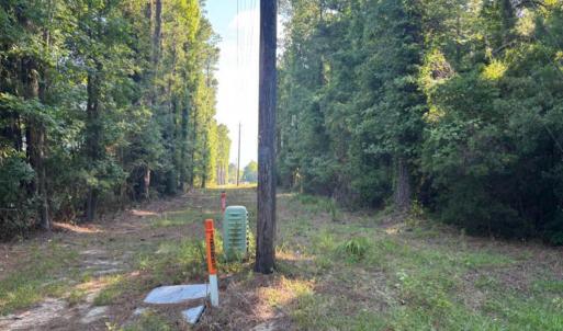 Photo #9 of 3611 New Bern, Jacksonville, NC 4.3 acres