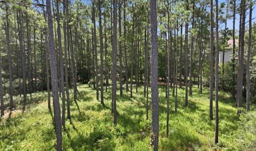 Photo #8 of 123 White Swan, Swansboro, NC 1.6 acres