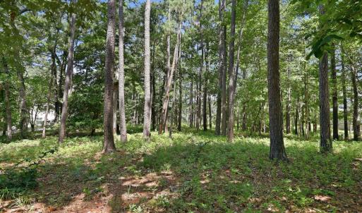 Photo #9 of 123 White Swan, Swansboro, NC 1.6 acres