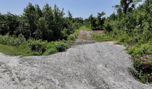 Photo #31 of Guinea Mill, Ernul, NC 34.9 acres