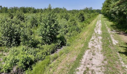 Photo #25 of Guinea Mill, Ernul, NC 34.9 acres