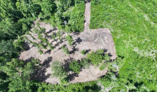 Photo #22 of Guinea Mill, Ernul, NC 34.9 acres