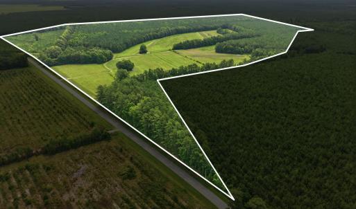 Photo #3 of Gaskins, Grimesland, NC 157.0 acres