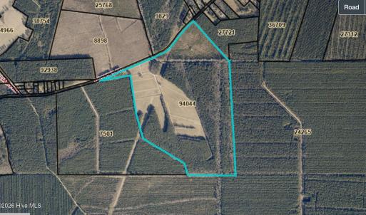 Photo #1 of Gaskins, Grimesland, NC 157.0 acres