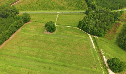 Photo #7 of Gaskins, Grimesland, NC 157.0 acres