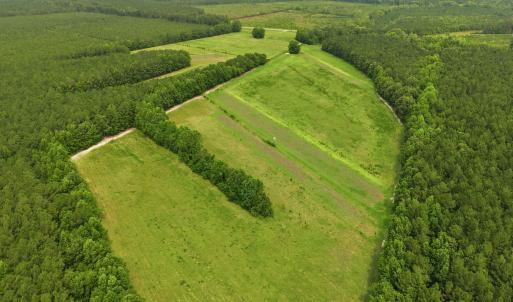 Photo #12 of Gaskins, Grimesland, NC 157.0 acres