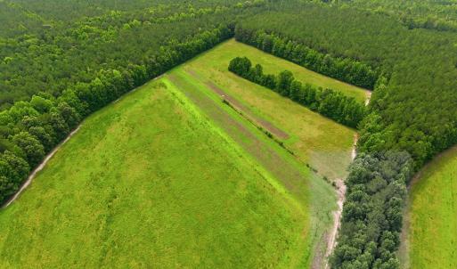 Photo #8 of Gaskins, Grimesland, NC 157.0 acres