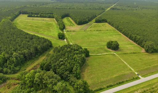 Photo #6 of Gaskins, Grimesland, NC 157.0 acres