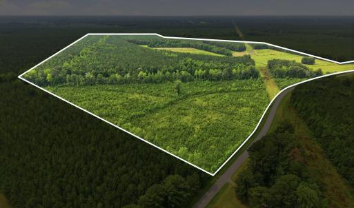 Photo #2 of Gaskins, Grimesland, NC 157.0 acres