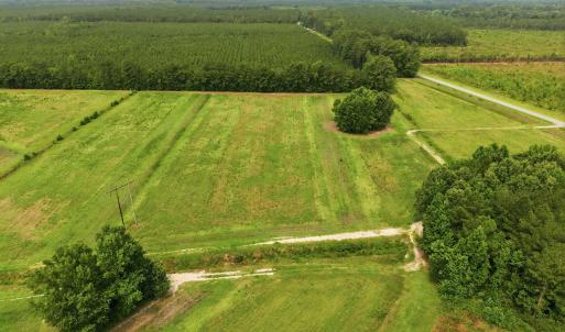 Photo #10 of Gaskins, Grimesland, NC 157.0 acres