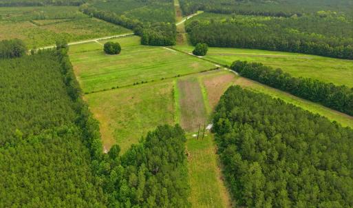 Photo #13 of Gaskins, Grimesland, NC 157.0 acres