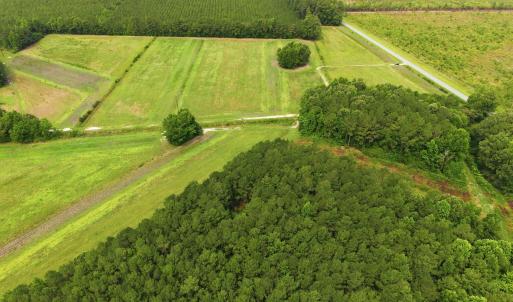 Photo #11 of Gaskins, Grimesland, NC 157.0 acres