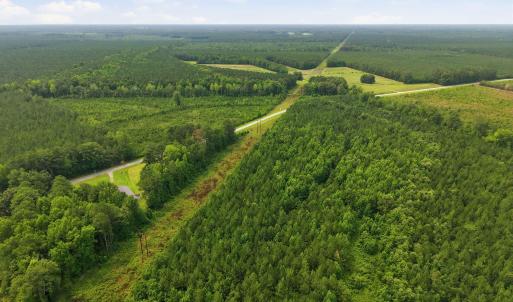 Photo #14 of Gaskins, Grimesland, NC 157.0 acres