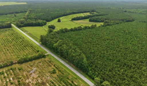 Photo #4 of Gaskins, Grimesland, NC 157.0 acres