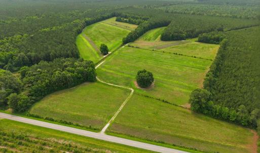 Photo #5 of Gaskins, Grimesland, NC 157.0 acres