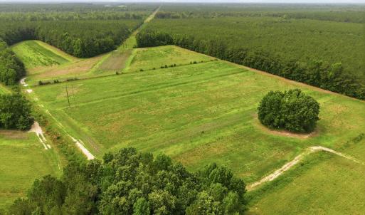 Photo #9 of Gaskins, Grimesland, NC 157.0 acres