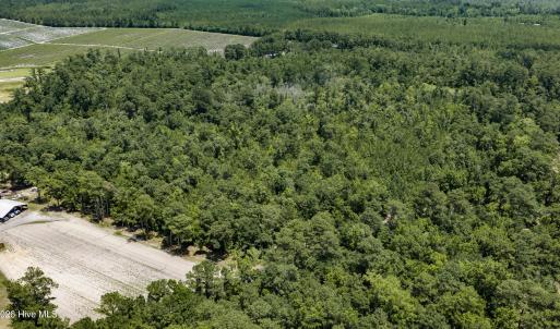 Photo #3 of Clarks Landing, Rocky Point, NC 52.0 acres