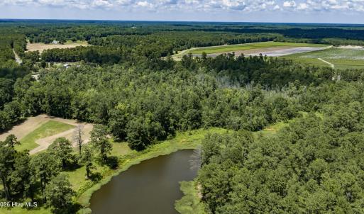 Photo #20 of Clarks Landing, Rocky Point, NC 52.0 acres
