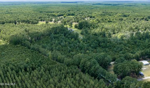 Photo #11 of Clarks Landing, Rocky Point, NC 52.0 acres