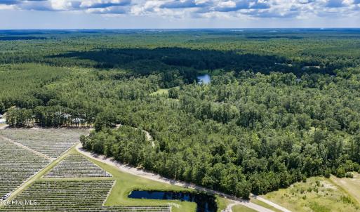 Photo #13 of Clarks Landing, Rocky Point, NC 52.0 acres