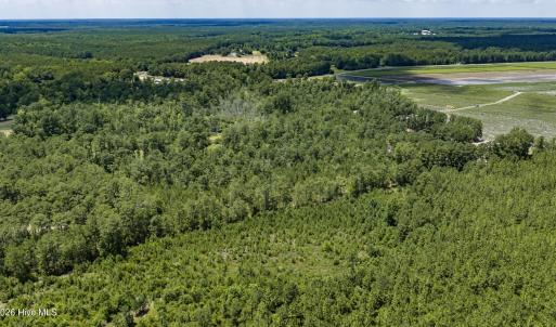 Photo #21 of Clarks Landing, Rocky Point, NC 52.0 acres