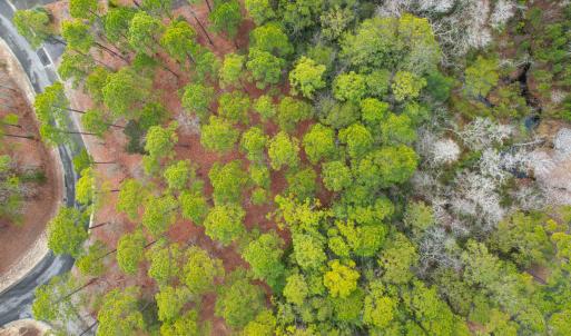 Photo #8 of 616 Del-Sol, Bolivia, NC 0.3 acres