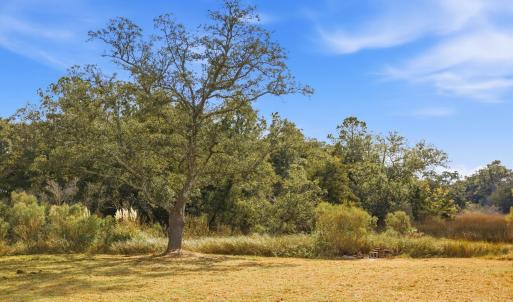 Photo #6 of 1408 Marsh Cove, Wilmington, NC 0.7 acres