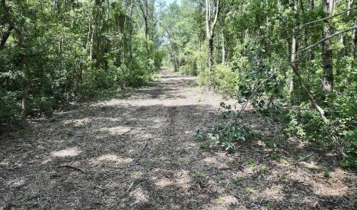 Photo #1 of 28 Guinea Mill, Ernul, NC 34.3 acres