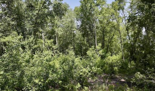 Photo #9 of 28 Guinea Mill, Ernul, NC 34.3 acres