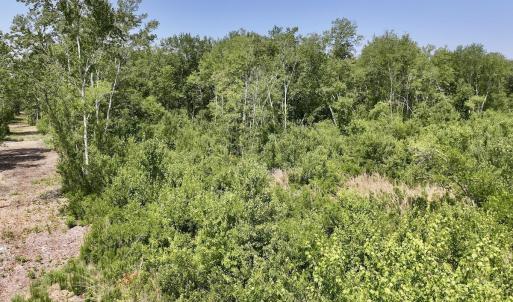 Photo #7 of 28 Guinea Mill, Ernul, NC 34.3 acres