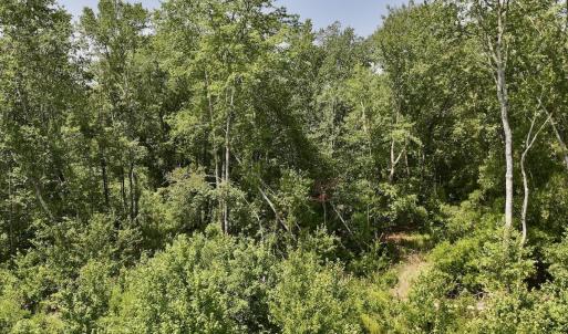 Photo #14 of 28 Guinea Mill, Ernul, NC 34.3 acres