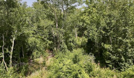 Photo #15 of 28 Guinea Mill, Ernul, NC 34.3 acres