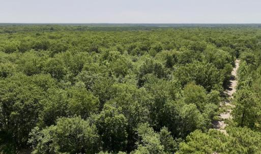 Photo #18 of 28 Guinea Mill, Ernul, NC 34.3 acres