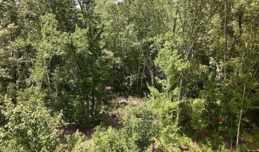 Photo #12 of 28 Guinea Mill, Ernul, NC 34.3 acres
