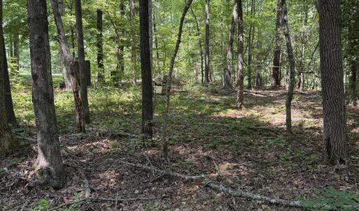 Photo #1 of 153 Omaha, Louisburg, NC 0.1 acres