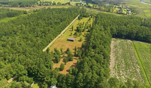 Photo #8 of 3216 Mill Creek, Newport, NC 10.6 acres