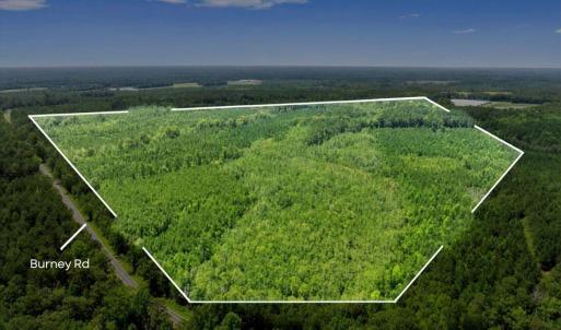 Photo #1 of Na Burney, White Oak, NC 66.3 acres